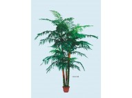 Palmera de bambu